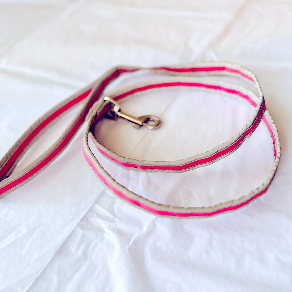 REFLECTIVE Stylish Pink Grey & Silver Dog Leash 49”